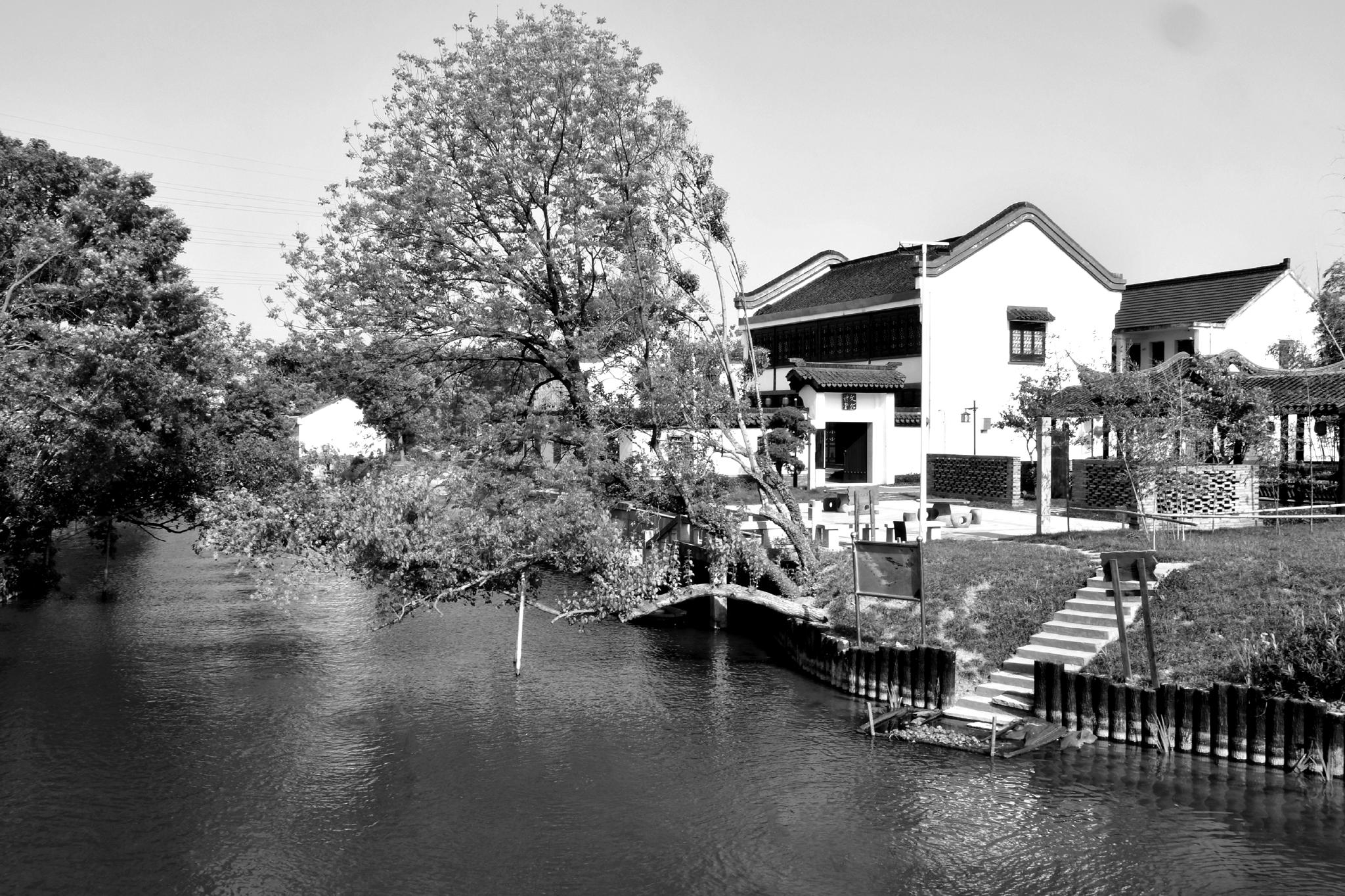 農(nóng)村美麗建設(shè)圖片大全_農(nóng)村房子建設(shè)圖片大全_太陽(yáng)照耀美麗農(nóng)村圖片