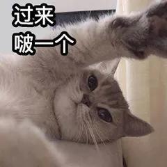 亞克力弧形折彎技巧_樹(shù)脂字和亞克力字_亞克力字安裝技巧